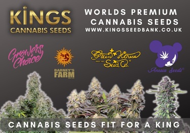 Top UK Cannabis Seedbank - Kings Seedbank